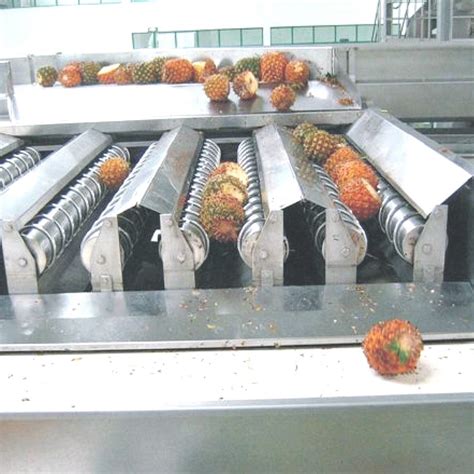 Pineapple processing machines .